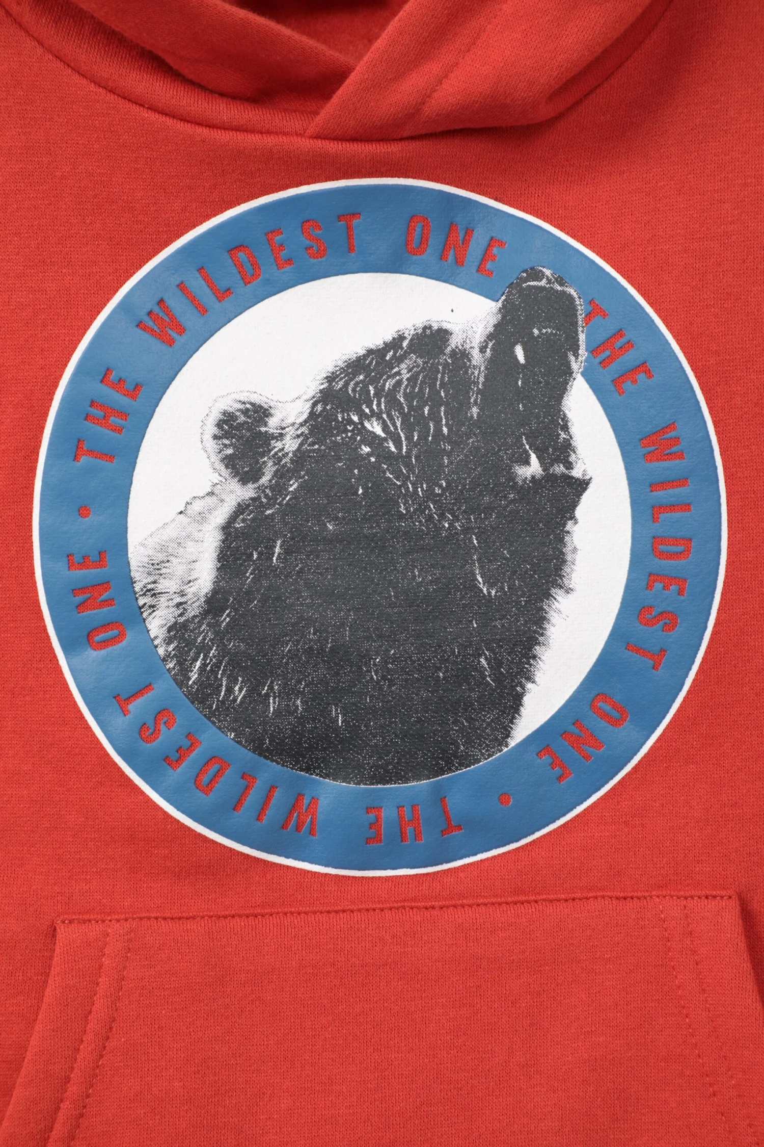 Mountain Warehouse Bear Print Kids Hoodie 7 Mountain Warehouse Bear Print Kids Hoodie - Image 5