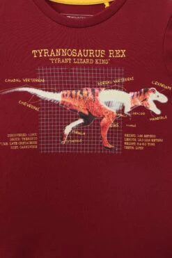 Mountain Warehouse Glow In The Dark Dino Kids Organic T-Shirt -Kids Fashion Clothing Store 047875 bur boys organic glow in dark dino mock ls sleeve tee kid aw21 05