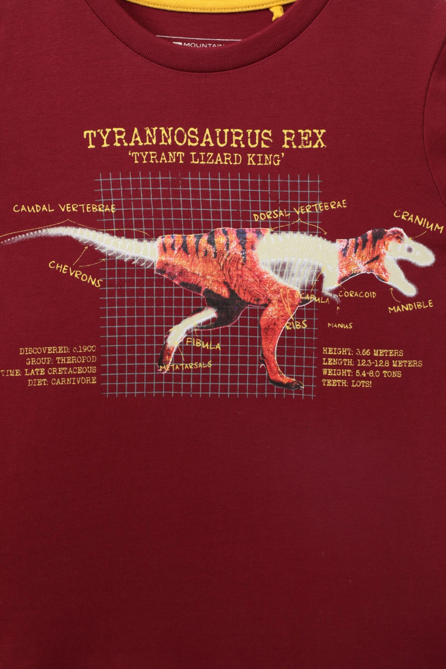 Mountain Warehouse Glow In The Dark Dino Kids Organic T-Shirt - Image 5