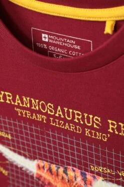 Mountain Warehouse Glow In The Dark Dino Kids Organic T-Shirt -Kids Fashion Clothing Store 047875 bur boys organic glow in dark dino mock ls sleeve tee kid aw21 06