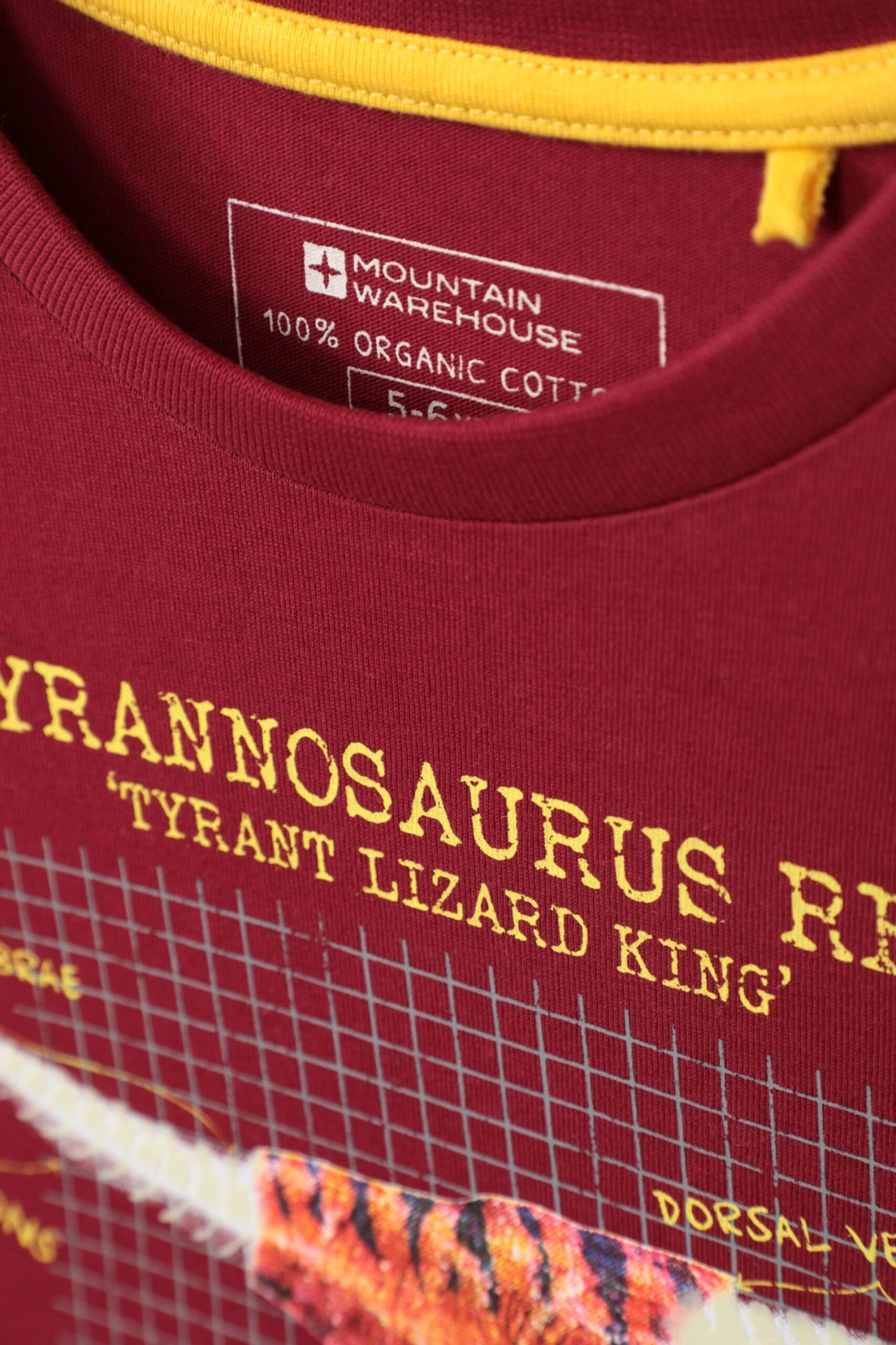 Mountain Warehouse Glow In The Dark Dino Kids Organic T-Shirt - Image 6