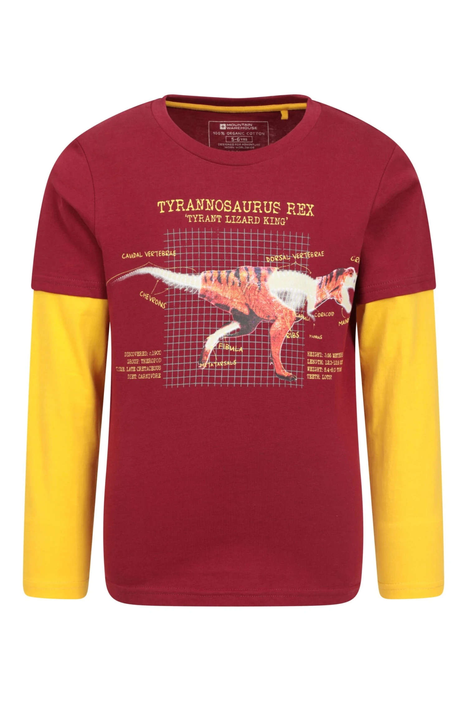 Mountain Warehouse Glow In The Dark Dino Kids Organic T-Shirt