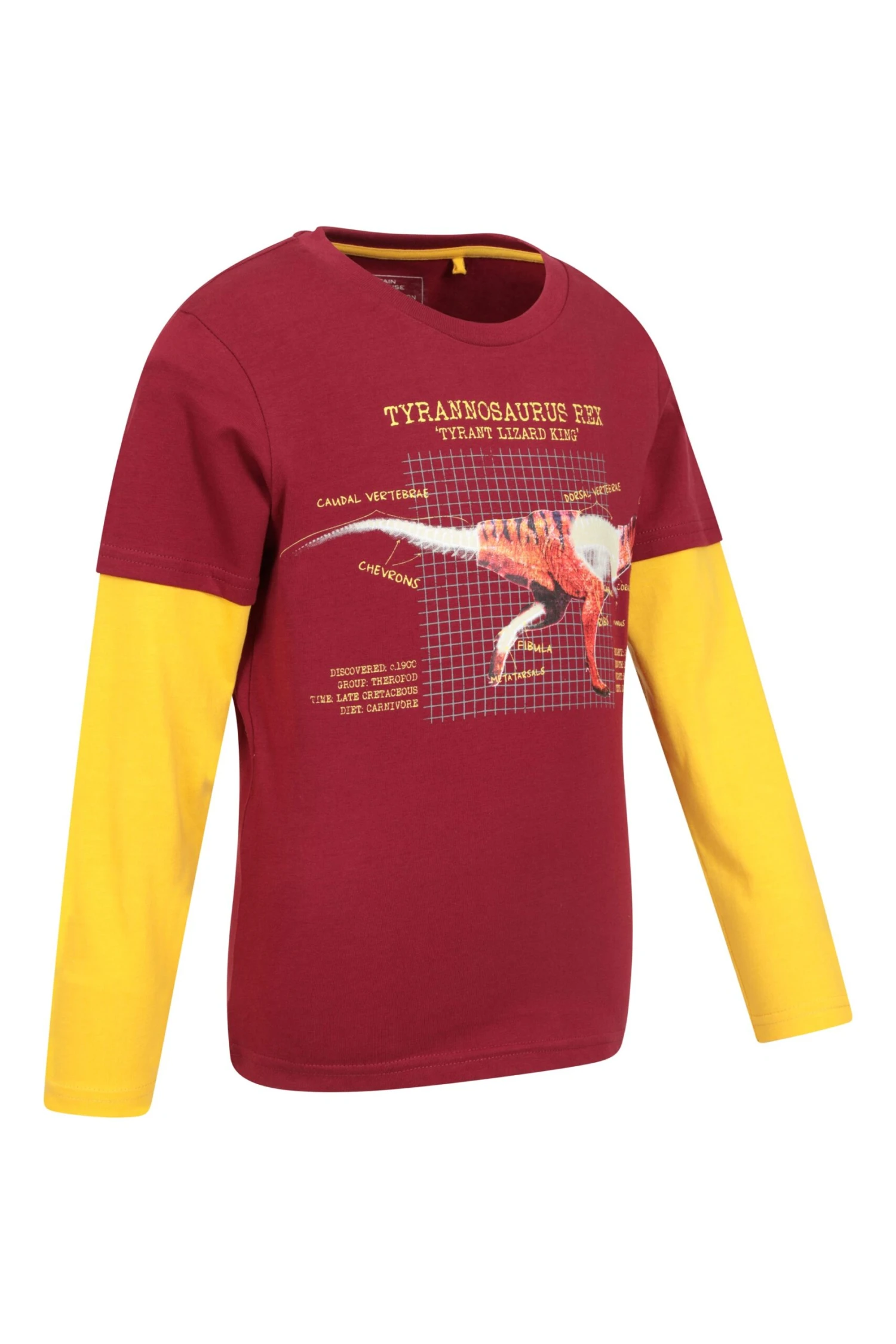 Mountain Warehouse Glow In The Dark Dino Kids Organic T-Shirt - Image 3