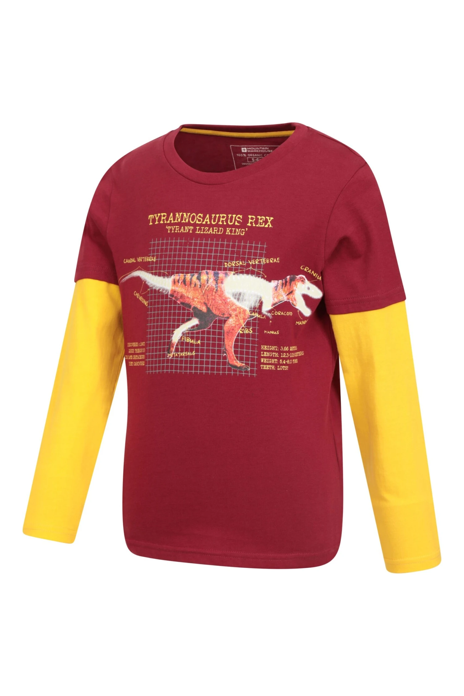 Mountain Warehouse Glow In The Dark Dino Kids Organic T-Shirt - Image 4