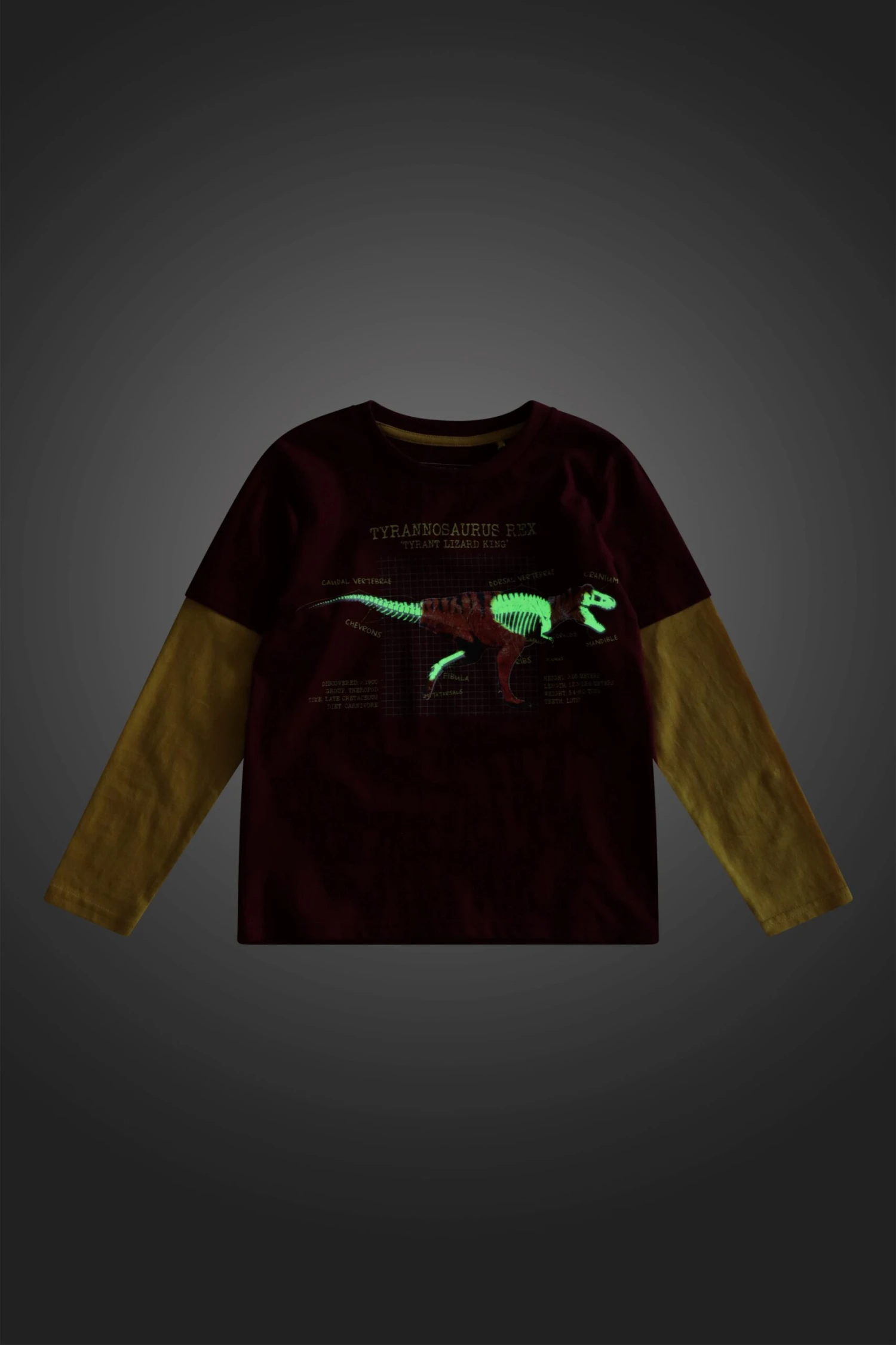 Mountain Warehouse Glow In The Dark Dino Kids Organic T-Shirt - Image 2
