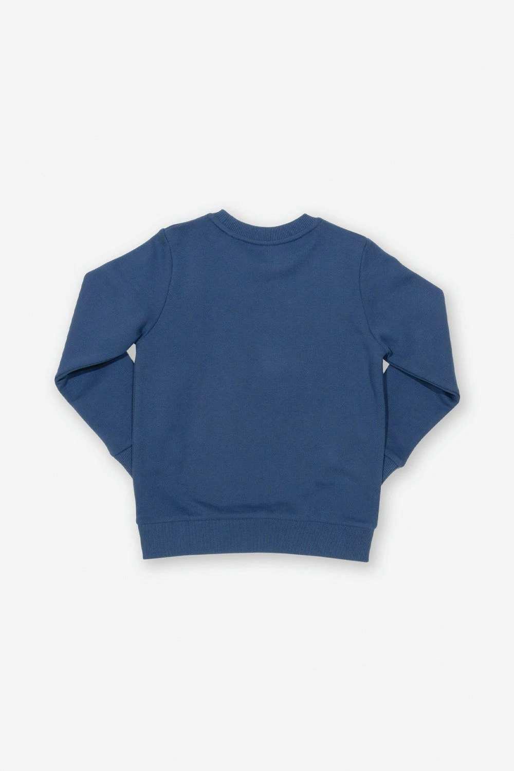 Star Bear Kids Sweatshirt 5 Star Bear Kids Sweatshirt - Image 3