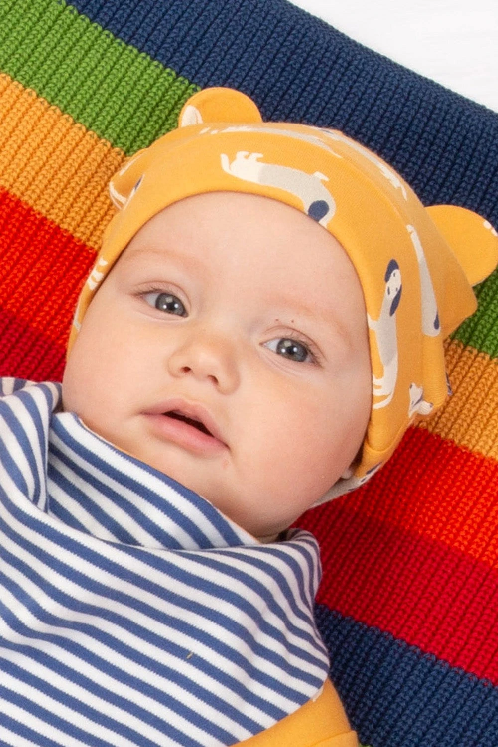 Daxie Dog Baby Hat 4 Daxie Dog Baby Hat - Image 2