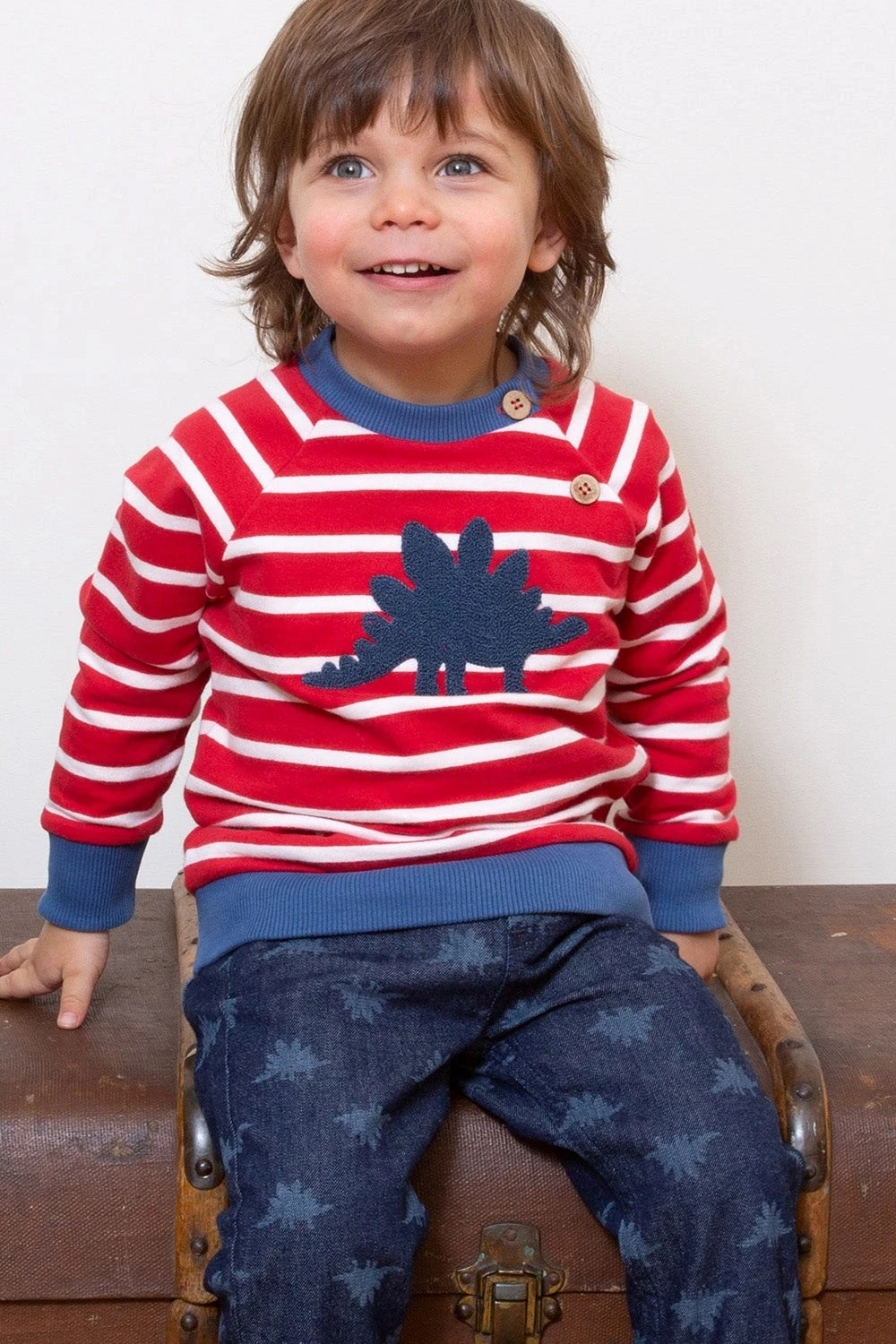 Kids Steggie Sweatshirt 4 Kids Steggie Sweatshirt - Image 2