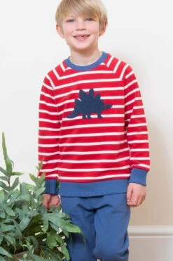 Kids Steggie Sweatshirt 7 Kids Steggie Sweatshirt -Kids Fashion Clothing Store me65e0 001 kidssteggiesweatshirt20221230123620 3