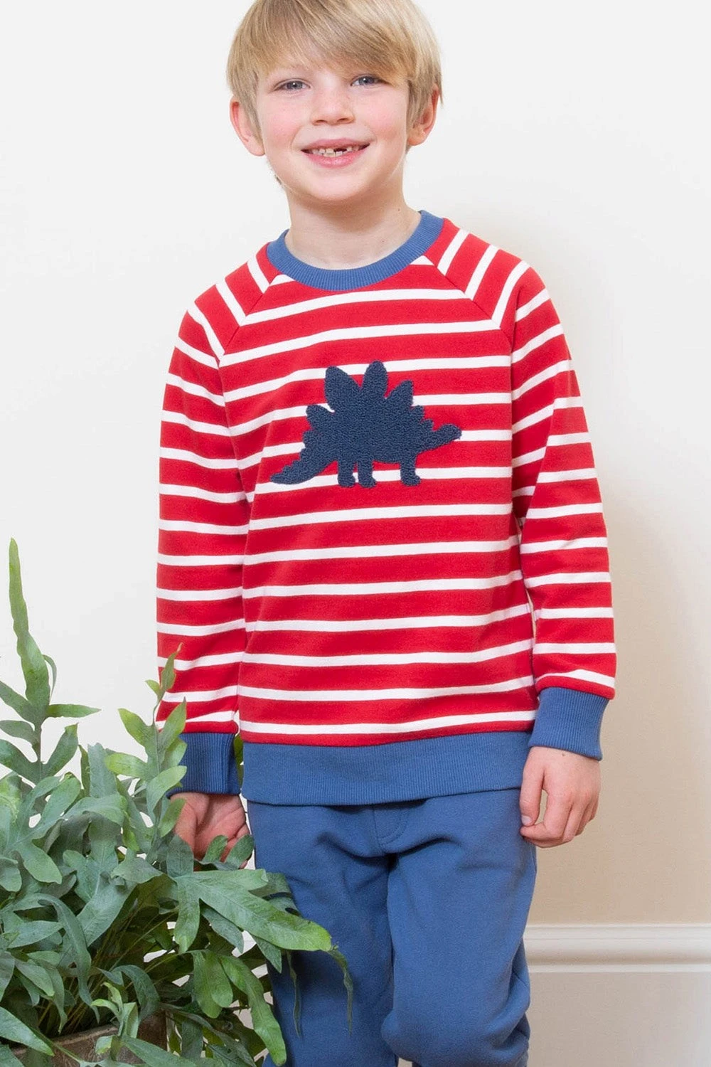 Kids Steggie Sweatshirt 5 Kids Steggie Sweatshirt - Image 3