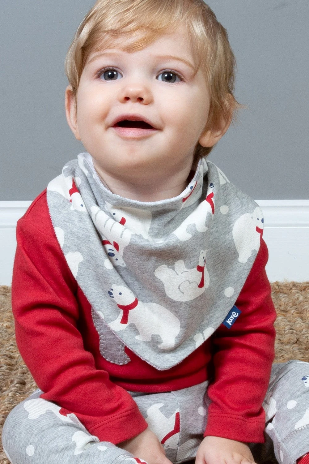 Polar Play Reversible Baby Bib 4 Polar Play Reversible Baby Bib - Image 2