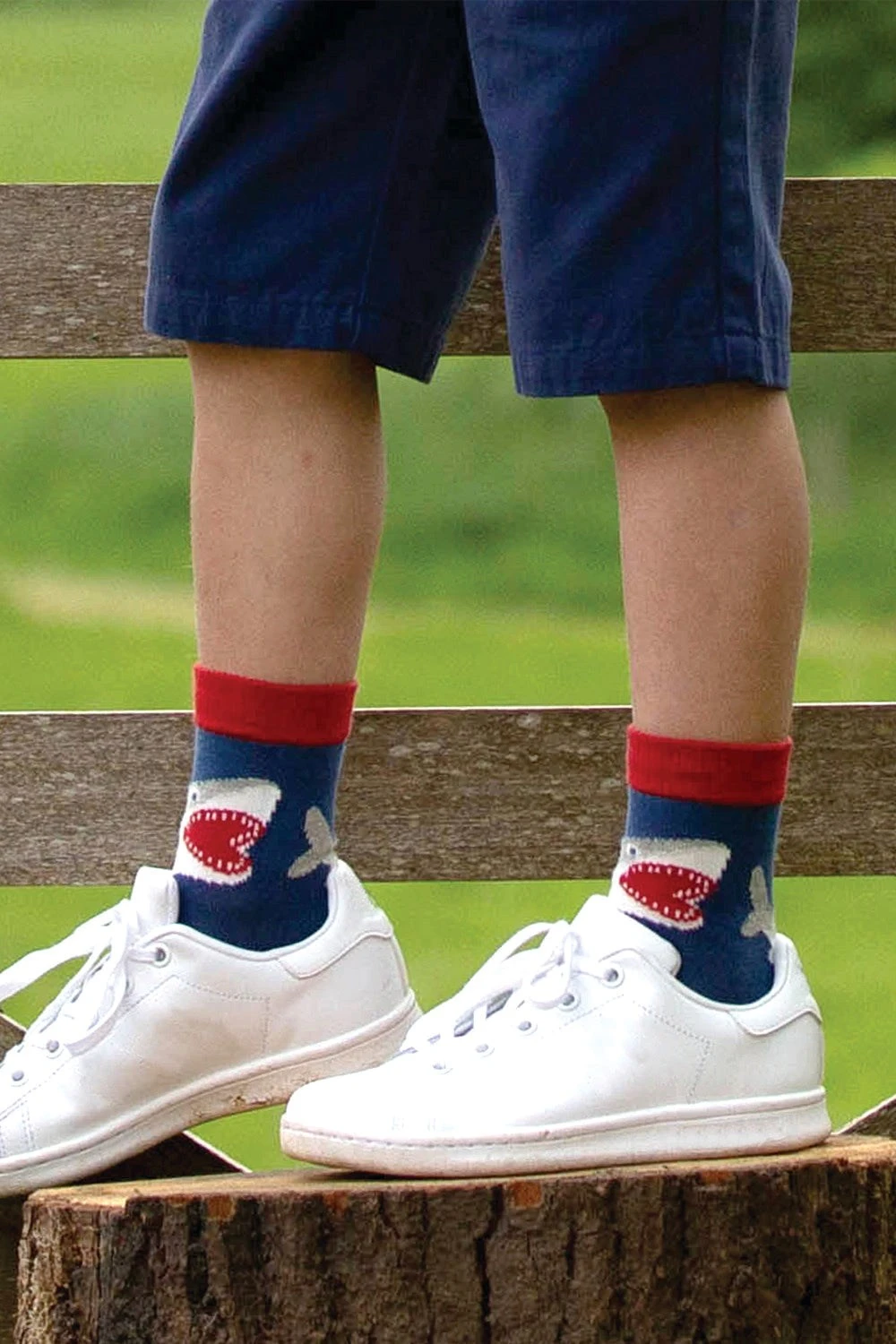 Shark Baby/Kids Organic Cotton Socks 4 Shark Baby/Kids Organic Cotton Socks - Image 2