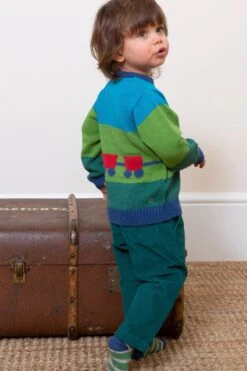 Full Steam Ahead Baby/Kids Jumper -Kids Fashion Clothing Store mfd53e 001 fullsteamaheadbabykidsjumper20230104053618 3